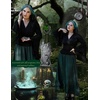 image:imageScarlet Darkness Bell Sleeve Tops for Women Renaissance Pirate ShirtBlack
