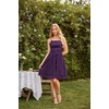 image:imageScarlet Darkness Corset Mini Sundress Chiffon Homecoming Dress for WomenDeep Purple