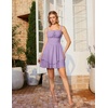 image:imageScarlet Darkness Corset Mini Dress for Women Teens Grad Homecoming SundressLight Purple