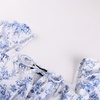 image:imageScarlet Darkness Summer Spring Split Floral Corset Midi Dress with PocketsBlue Bird Print