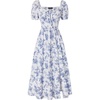 Blue Bird Print